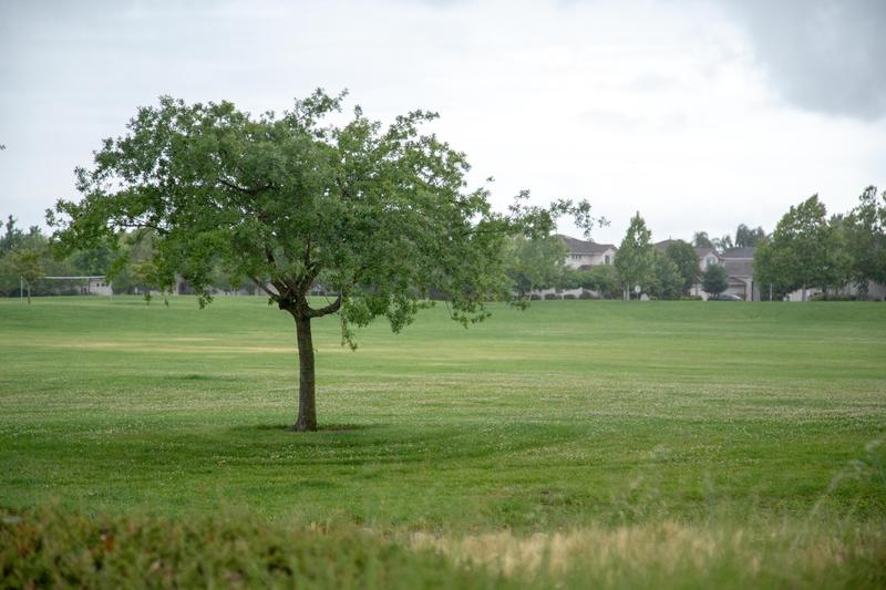 Photo of Miss Sadie's Teaching With Care Daycare - Sacramento, CA