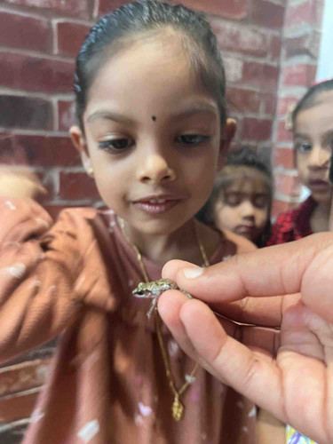 Photo of Kinder Ranch Home Montessori Daycare - Irving, TX