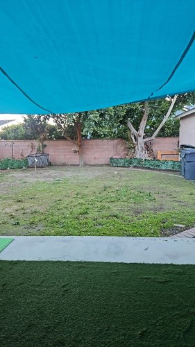 Photo of North Star Montessori - Lakewood, CA