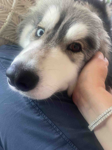 Photo of Charmsical Childcare - Irvine, CA