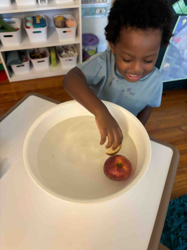 Photo of The Learning Treehouse Llc Daycare - New Brunswick, NJ