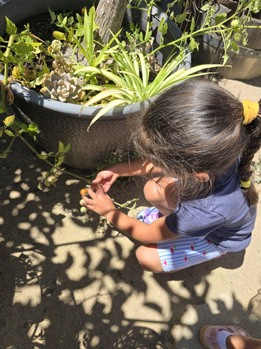 Photo of Sauceda, Maria Family Child Care - Vista, CA
