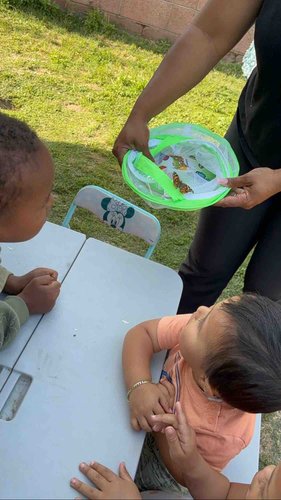 Photo of Majied Family Childcare - Bellflower, CA