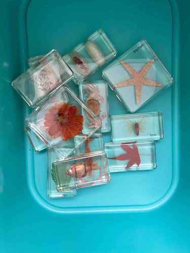 Photo of Small Family Childcare Daycare - Hesperia, CA