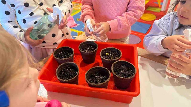 Photo of Happy Montessori Daycare - Los Angeles, CA