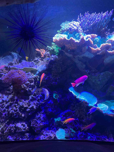 Photo of Samantha R.