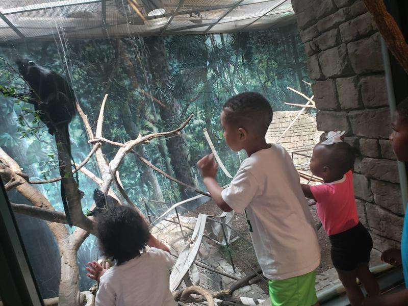 Photo of Babes' N Tots Childcare - Garfield Heights, OH