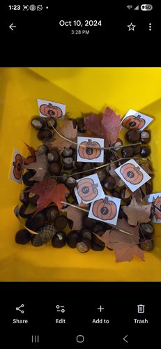 Photo of ABC Family Child Care - Worcester, MA