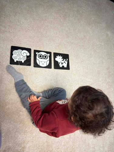 Photo of Little Genius Bilingual Childcare & Preschool Daycare - Beaverton, OR