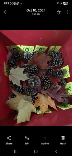 Photo of ABC Family Child Care - Worcester, MA