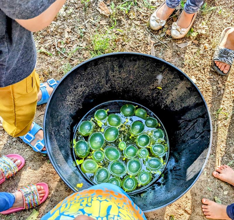 Photo of Sprouting Kids Family Daycare - Berwyn Heights, MD