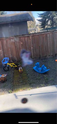 Photo of Play Baby Childcare Llc - Tukwila, WA