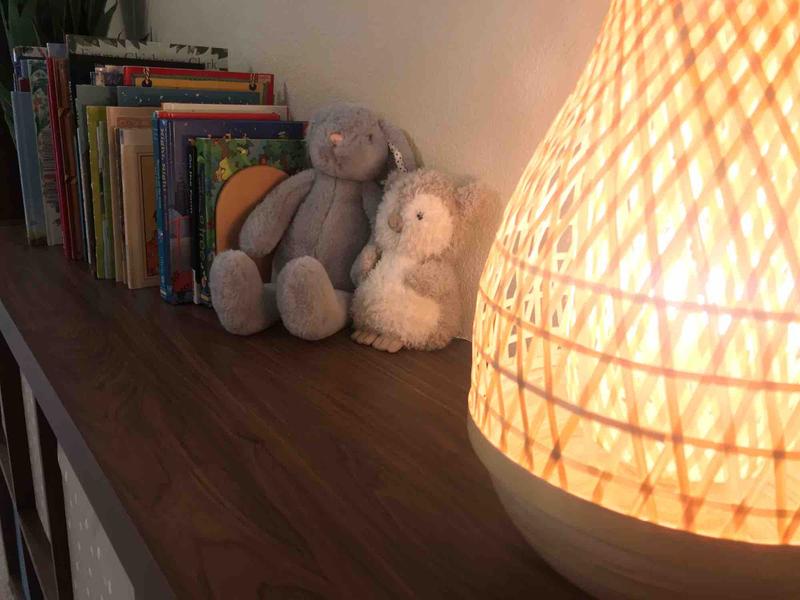 Photo of Little Acorns