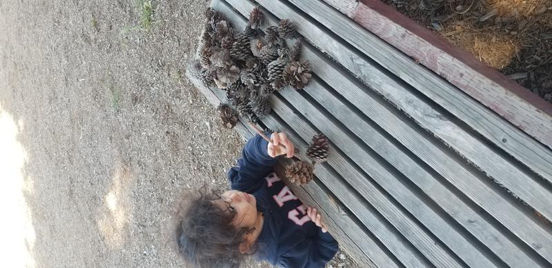 Photo of Flores Rocio Family Daycare