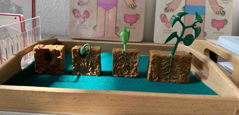 Photo of Advanced Montessori Academy - Trabuco  Camyon, CA