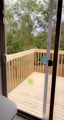 Photo of Kids Paradise Childcare - Renton, WA