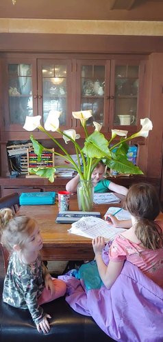 Photo of Sarita's Daycare - Fort Bragg, CA