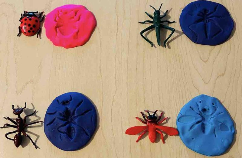 Photo of Francis Home Daycare - San Jose, CA