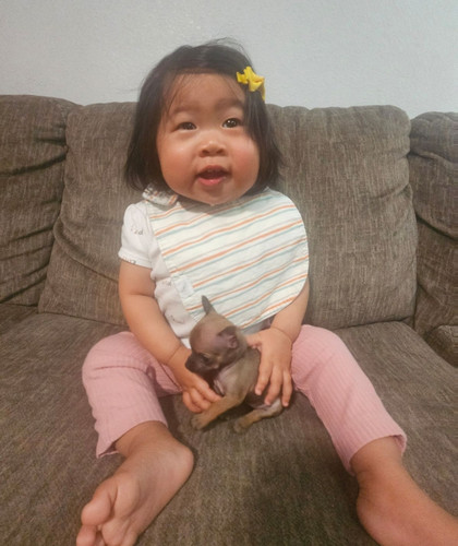 Photo of Lil Juniors Daycare - Fairfield, CA