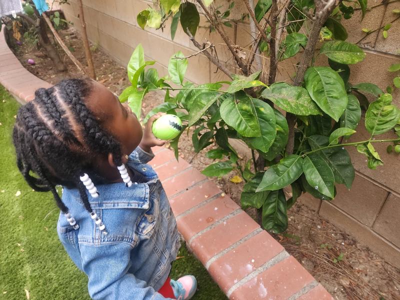 Photo of Inspiring Minds Academy - Gardena, CA