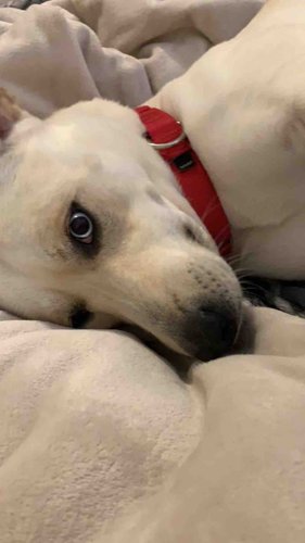 Photo of Jessica M. - Harker Heights, TX