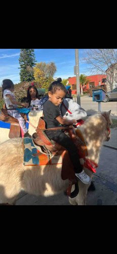 Photo of Dreamy Kids Daycare - Los Angeles, CA