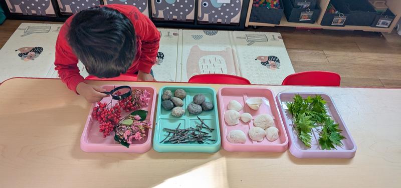 Photo of Merry Minds Academy - Sunnyvale, CA