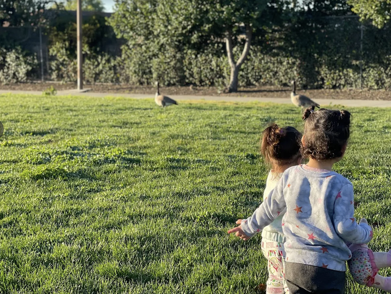 Photo of Los Pollitos Daycare - San Jose, CA