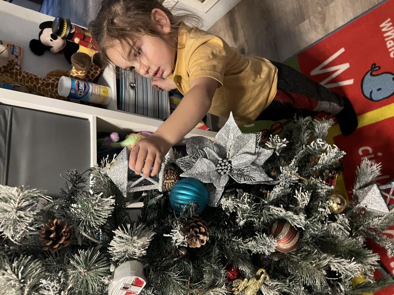 Photo of Little Golden Key  Family Child Care - Panorama City, CA