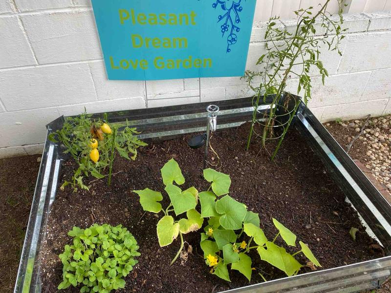 Photo of Pleasant Dreams Family Daycare - South Chesterfield, VA