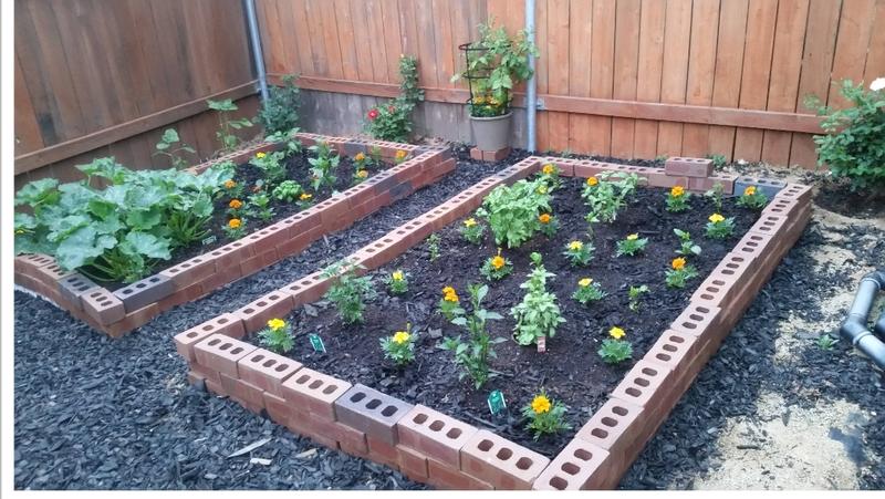 Photo of Little Pumpkins Daycare - Sacramento, CA