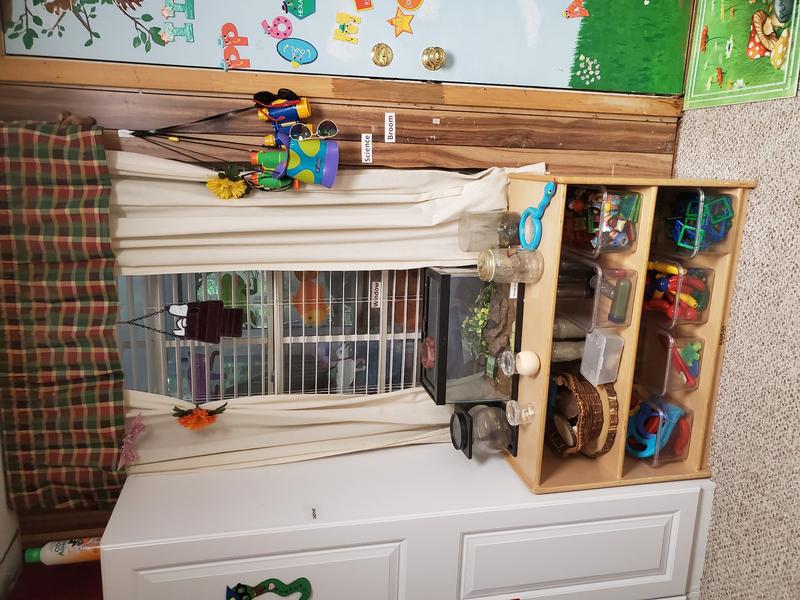 Photo of Brookwood In-Home Montessori Daycare - Lawrenceville, GA