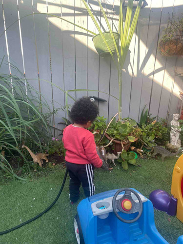 Photo of Vienna's Daycare - San Diego, CA