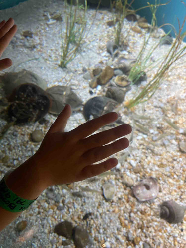 Photo of Tracey’s Daycare - Danbury, CT