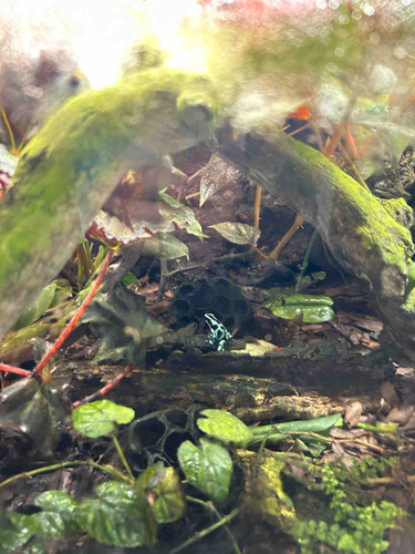 Photo of Menagerie Child Care - Leavenworth, KS