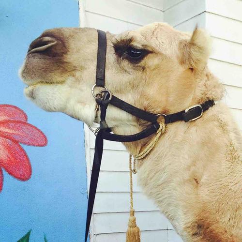 Photo of First Steps Child Care Inc. - Los Angeles, CA