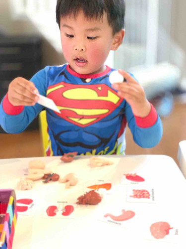 Photo of Happy Orchard Daycare - Irvine, CA