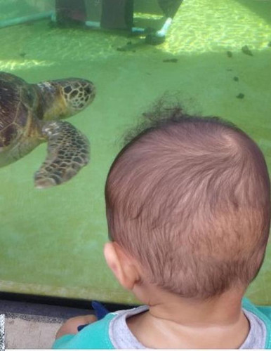 Photo of Garcia's Family Daycare - Chula Vista, CA