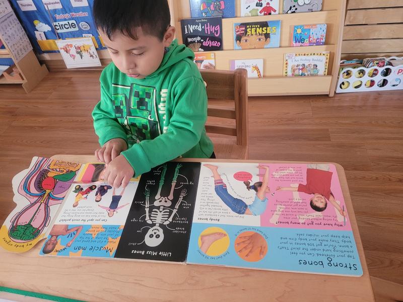 Photo of Inspired Montessori Family Child Care - Los Angeles, CA