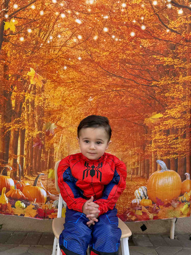 Photo of Happy Hearts Daycare - North Hollywood, CA