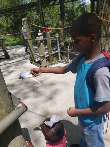 Photo of Babes' N Tots Childcare - Garfield Heights, OH