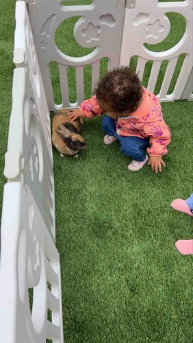 Photo of Fun house childcare - Carson, CA
