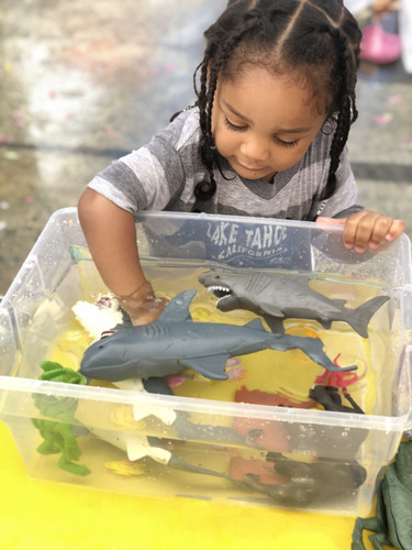 Photo of Crafty Kidos Daycare - San Jose, CA