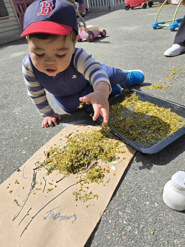 Photo of Tia Gi Bilingual Family Daycare - Belmont, MA