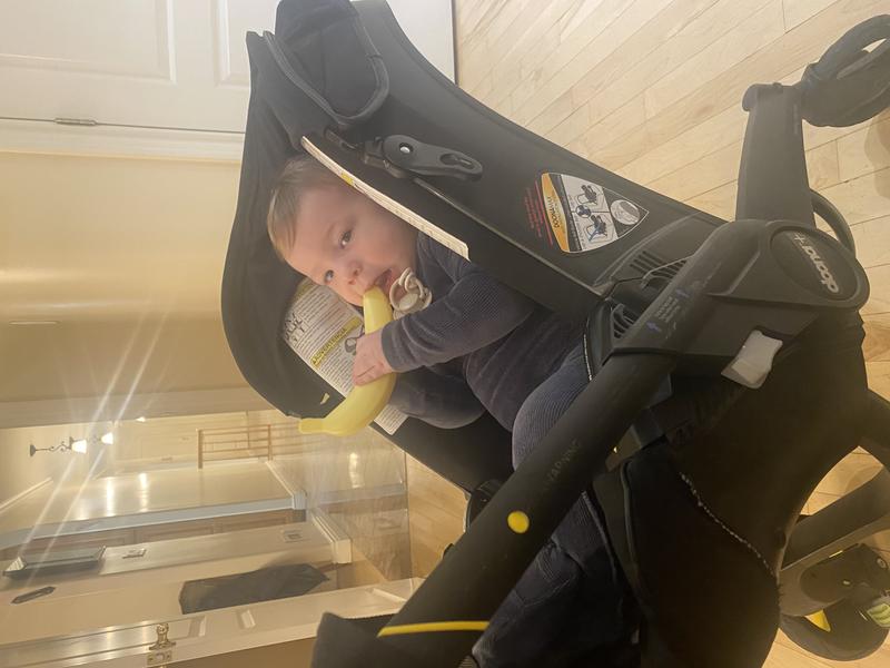 Photo of Melisa P. - New York, NY