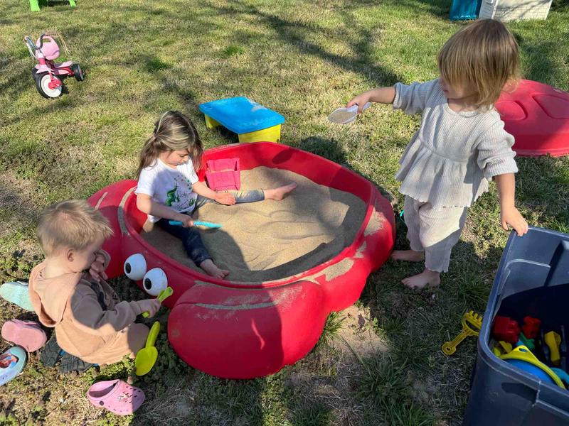 Photo of Lambs2Lions Academy