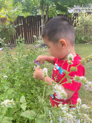 Photo of Genesis Preschool - Renton, WA