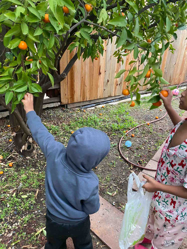 Photo of Latonyas Playhouse - Sacramento, CA