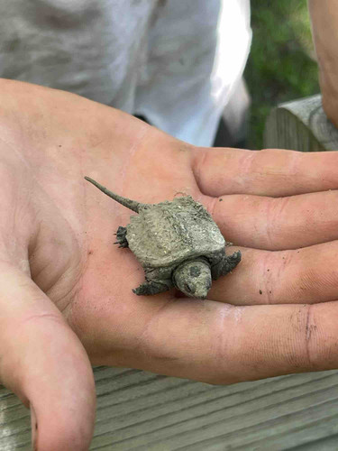 Photo of Growing Wild Daycare - Tenstrike, MN