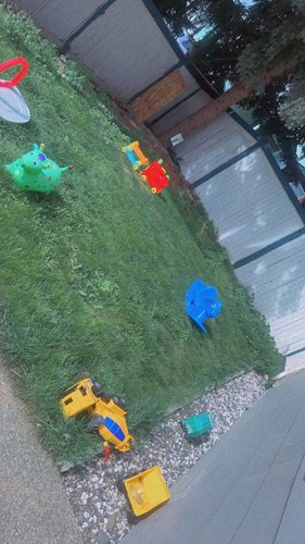 Photo of Shahnaz Family Chilldcare - Auburn, WA